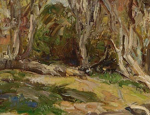 Bluebell Woods